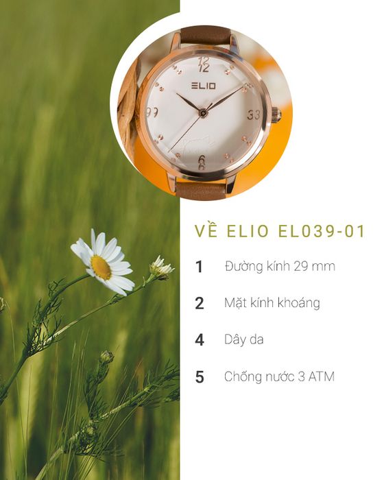 Tổng quan về đồng hồ Nữ Elio EL039-01