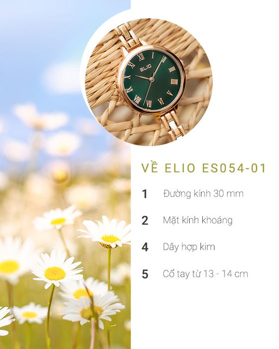 Tổng quan về đồng hồ Nữ Elio ES054-01