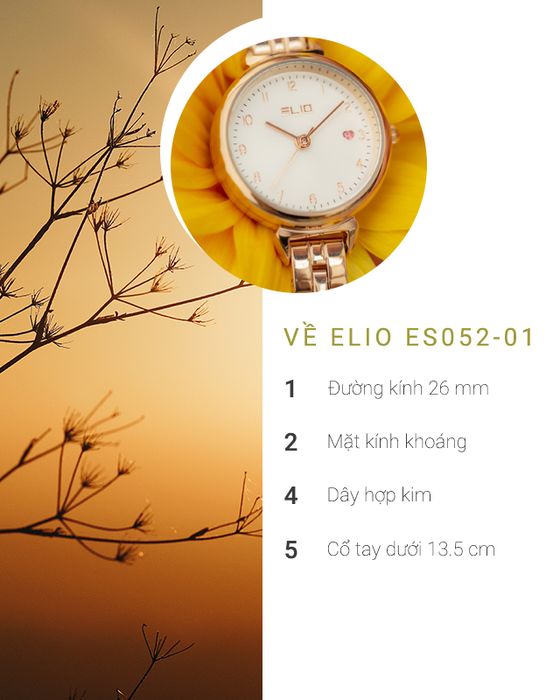 Tổng quan về đồng hồ Nữ Elio ES052-01