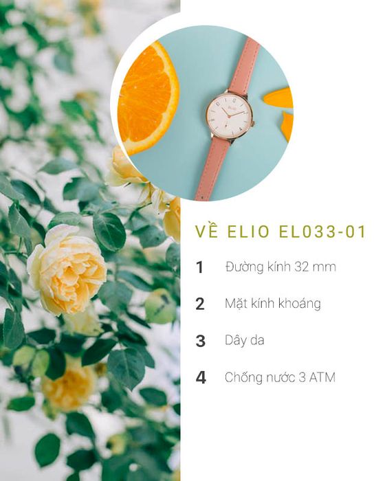 Đồng hồ Nữ Elio EL033-01 - Tổng quan