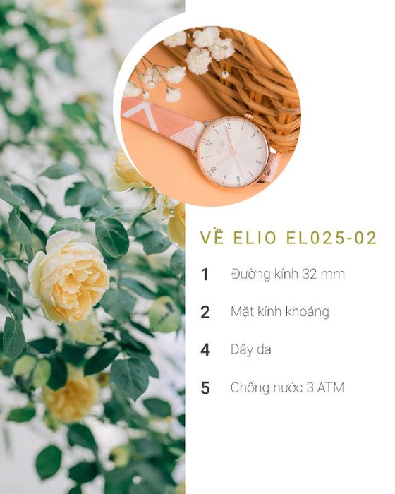 Tổng quan về đồng hồ nữ Elio EL025-02