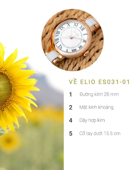 Tổng quan về đồng hồ Nữ Elio ES031-01