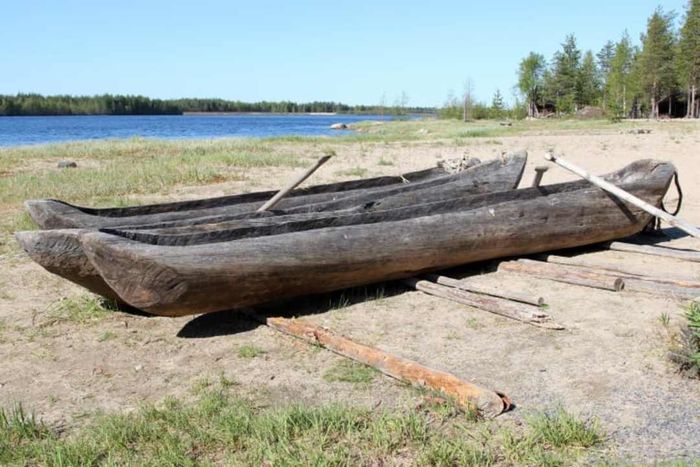 Dugout boats displayed at the Kierikki Stone Age Centre
