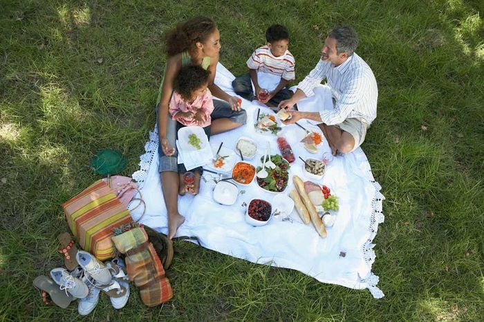 A family enjoying a picnic