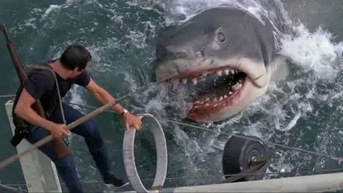 The release of ‘Jaws’ in 1975 revolutionized the summer movie landscape.