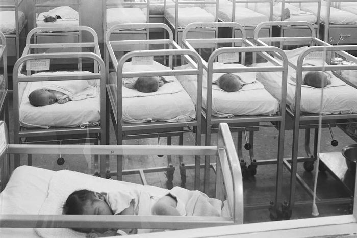 Cribs designed for newborn babies