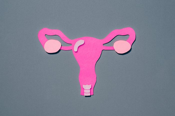 Illustration depicting a uterus