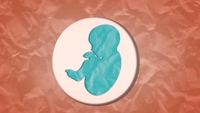 Pregnancy is an extraordinary journey.
