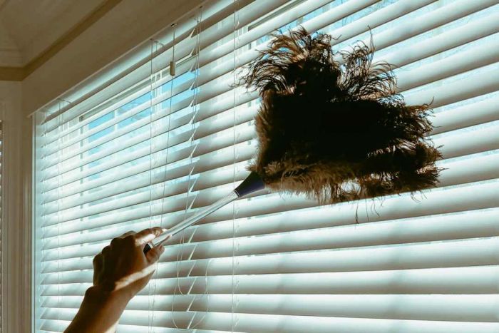 Biting the dust? More like sweeping it away with a feather duster, as shown here.
