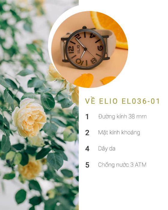 Tổng quan về đồng hồ unisex Elio EL036-01