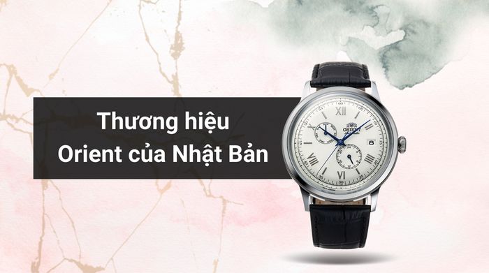 Tổng quan về thương hiệu của mẫu đồng hồ