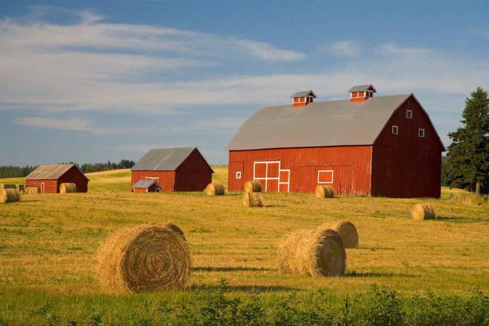 Would you purchase this farm? A charming farm is shown in the image.