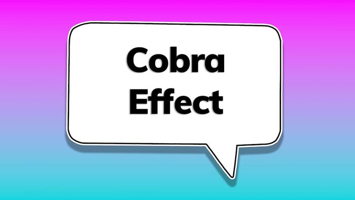 A speech bubble featuring the phrase ‘cobra effect’
