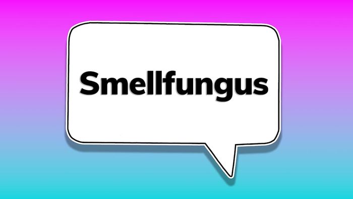 A speech bubble featuring the word ‘smellfungus’