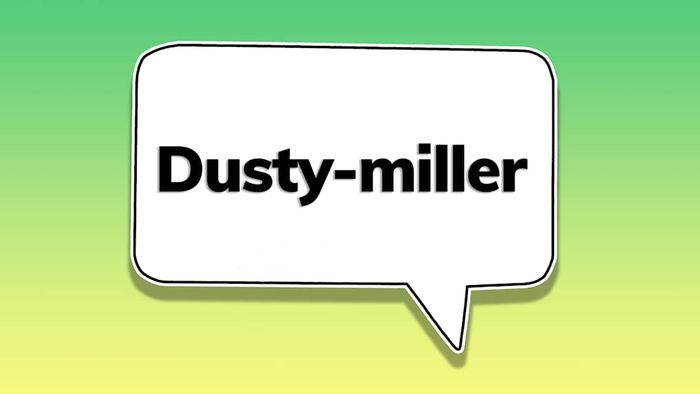 A speech bubble containing the word ‘dusty-miller’