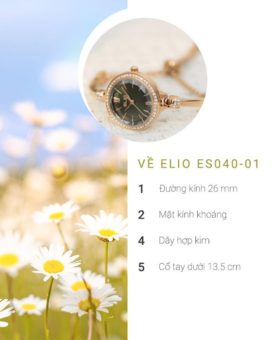 Tổng quan về đồng hồ Nữ Elio ES040-01