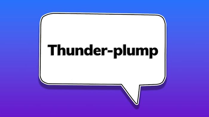 A speech bubble displaying the word ‘thunder-plump’