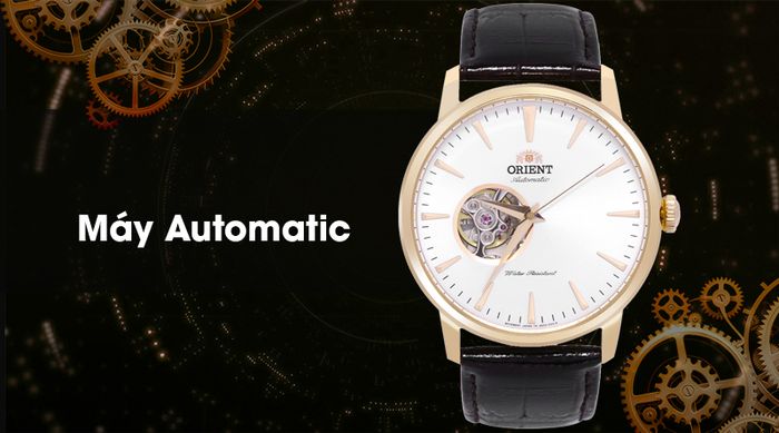 Đồng hồ nam Orient FAG02002W0 - Nam - Cơ tự động có máy automatic