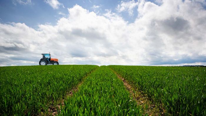 Field with a tractor on the horizon