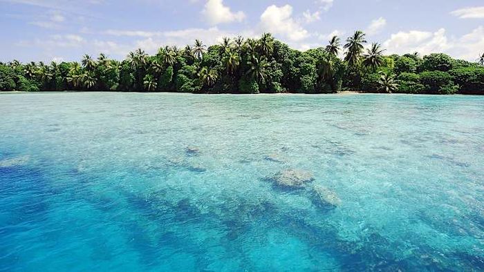 There’s a specific reason why no one resides on Palmyra Atoll.