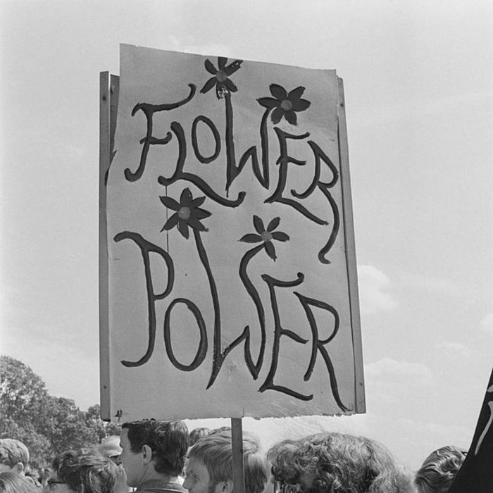 A flower power sign is highlighted in a story about 1960s slang terms