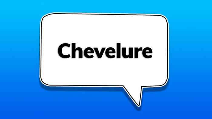 A speech bubble featuring the word ‘chevelure’