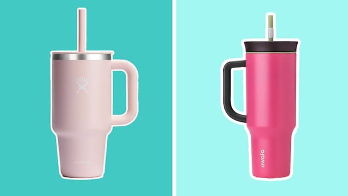 While the iconic red and pink Stanley cups are out of stock, these alternatives are still up for grabs.