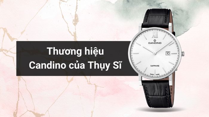 Tổng quan về thương hiệu của mẫu đồng hồ