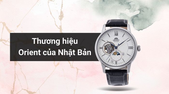 Tổng quan về thương hiệu của mẫu đồng hồ