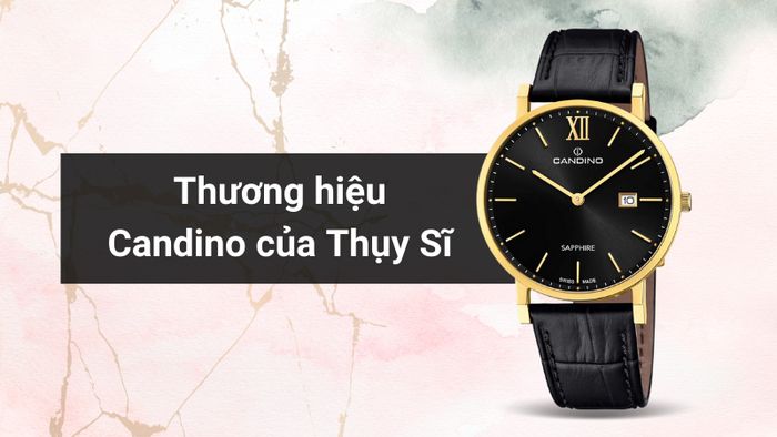 Tổng quan về thương hiệu của mẫu đồng hồ