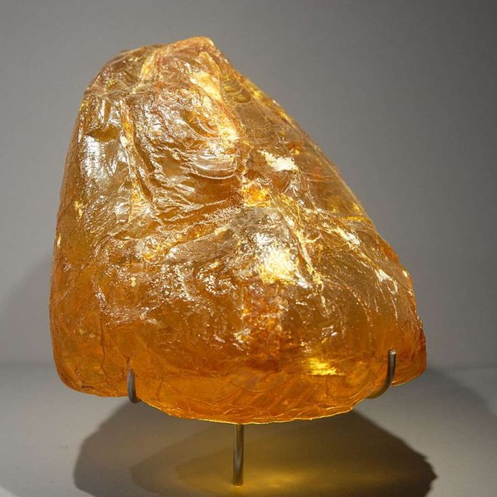 A piece of Baltic amber displayed at the National Museum of Natural History in Paris.