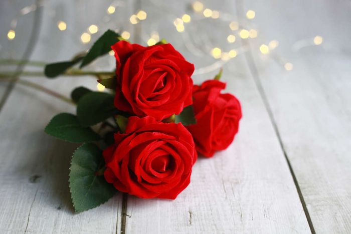 February’s Worst Purchases: A Bouquet of Red Roses