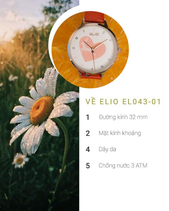 Tổng quan về đồng hồ nữ Elio EL043-01