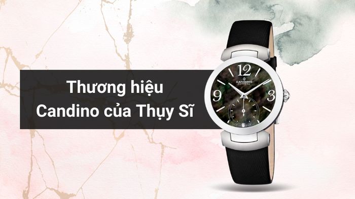 Tổng quan về thương hiệu của mẫu đồng hồ