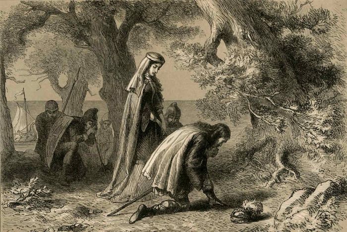A depiction of a scene on the shores of Vinland.