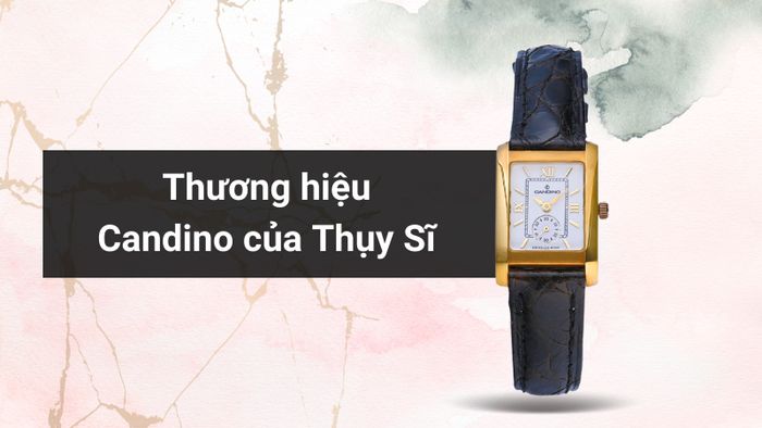 Tổng quan về thương hiệu của mẫu đồng hồ