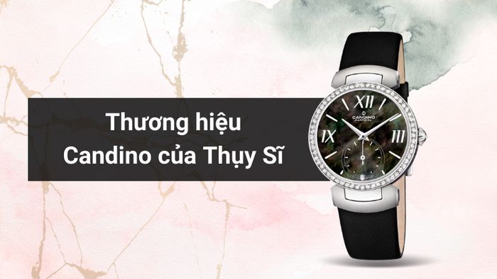 Tổng quan về thương hiệu của mẫu đồng hồ