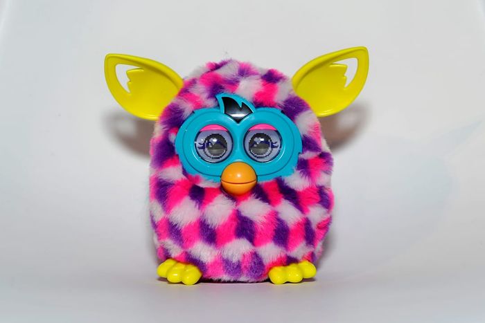 Dream Toys - Photocall