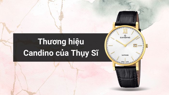 Tổng quan về thương hiệu của mẫu đồng hồ