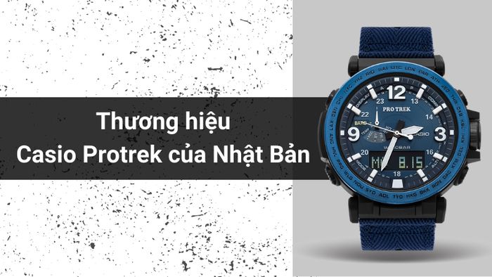 Tổng quan về thương hiệu của mẫu đồng hồ