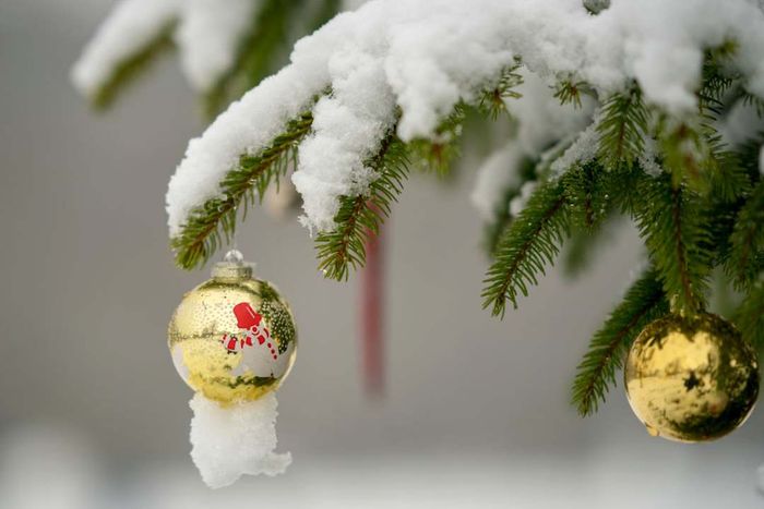 A snowy evergreen tree adorned with Christmas decorations