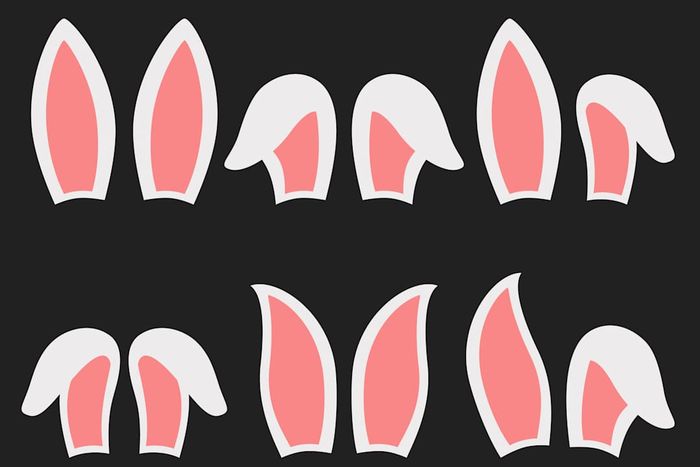 Rabbit ears vector illustration