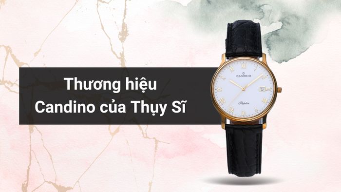 Tổng quan về thương hiệu của mẫu đồng hồ