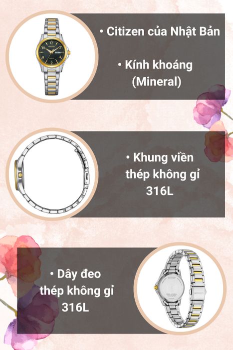 Tổng quan đồng hồ