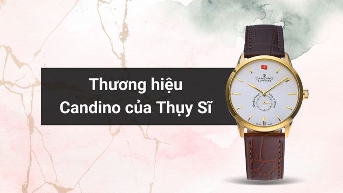 Tổng quan về thương hiệu của mẫu đồng hồ