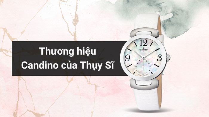 Tổng quan về thương hiệu của mẫu đồng hồ