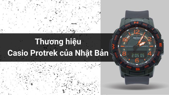 Tổng quan về thương hiệu của mẫu đồng hồ