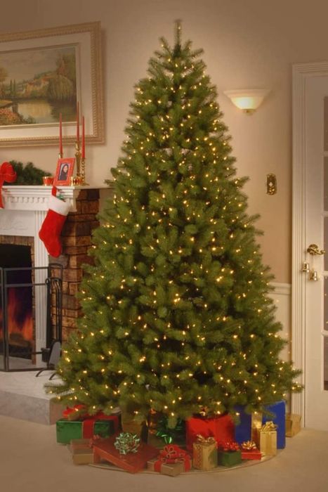 Top Pick: National Tree Company Pre-Lit 'Feel Real' Artificial Douglas Fir Christmas Tree