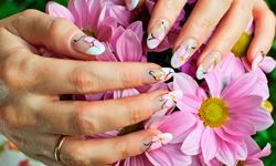 Almond-shaped nails