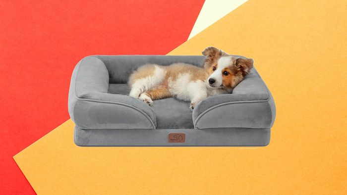 Prime Day's best pet deals: Bedsure Orthopedic Dog Bed for Medium Dogs now $34 (Save $5)